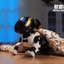 Remote Control Robot Dog Toy Programmable Interactive And Smart Dancing Robots for Kids
